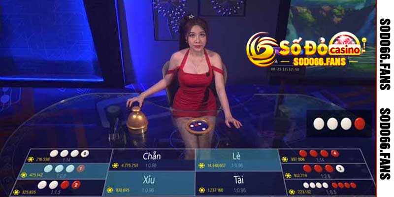 Xóc Đĩa Online - Quy Tắc và Cách Tham Gia Chơi Cùng Sodo66 3 Hướng dẫn đặt cược xóc đĩa online
