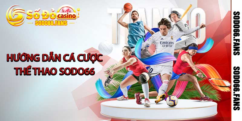 Hướng dẫn cá cược thể thao Sodo66