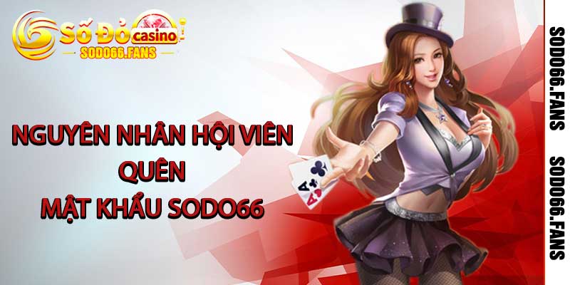 Nguyên nhân hội viên quên mật khẩu Sodo66